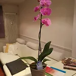 Casa Dolce Casa Апартаменты Модена