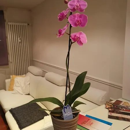 Casa Dolce Casa דירה מודנה