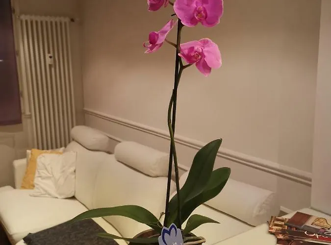 Casa Dolce Casa Apartment Modena